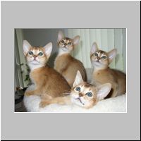 21 Ons eerste statieportret.jpg